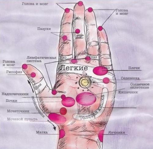 Наше здоровье в наших руках! 

