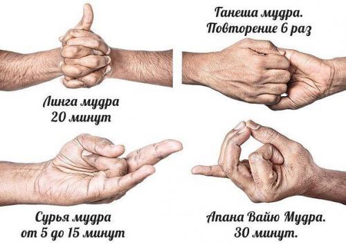 Мудры для здорового сердца.