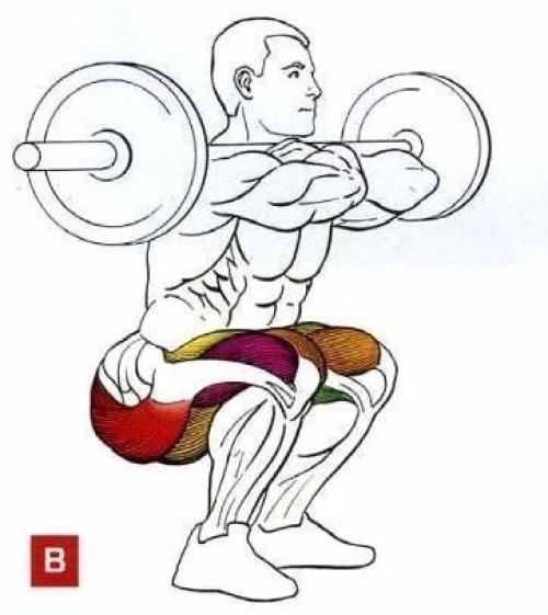 Шикарные ноги: основные упражнения для прокачки анатомия! 02