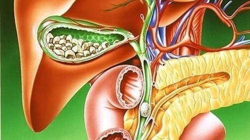 Средства медленного растворения камней в желчном пузыре. Средства медленного растворения камней в желчном пузыре.