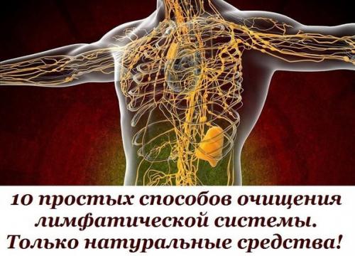 10 простых способов очищения лимфатической системы.  
