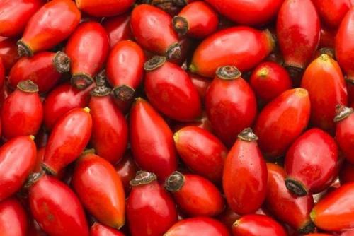 Соберите на зиму шиповник!