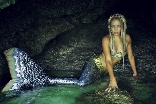 Как стать русалкой. 33-Летняя Ханна фрейзер работает русалкой в аквариуме города Сиднея.