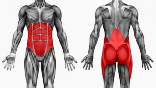 Мышцы кора.

Мышцы кора - это целый комплекс мышц, которые отвечают за стабилизацию таза, бедер и позвоночника. 
