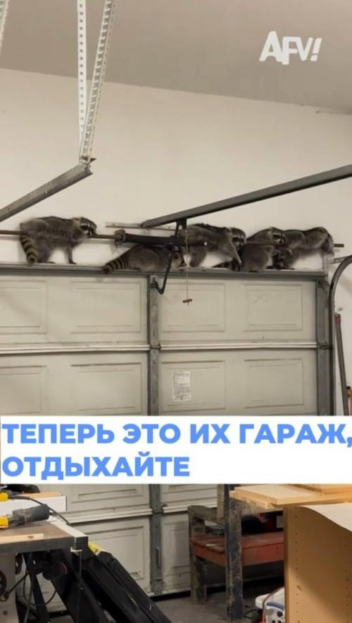 Жители Америки стали свидетелями необычного звука из своего гаража и решили выяснить, в чем дело.  