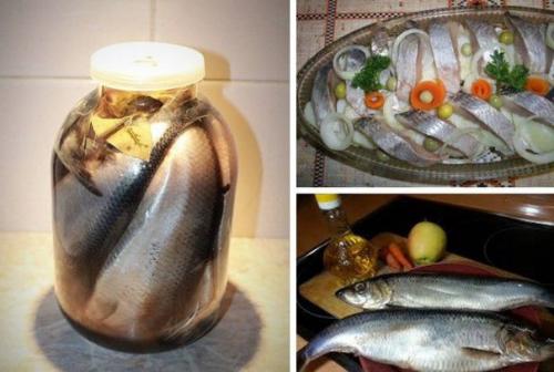 Селедка в банке.