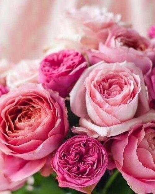 Я умею принимать! Я умею принимать!