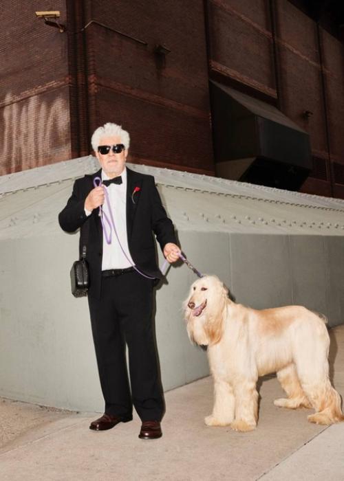 Талантливые испанские мужчины в розовом и в Bottega Veneta. 04