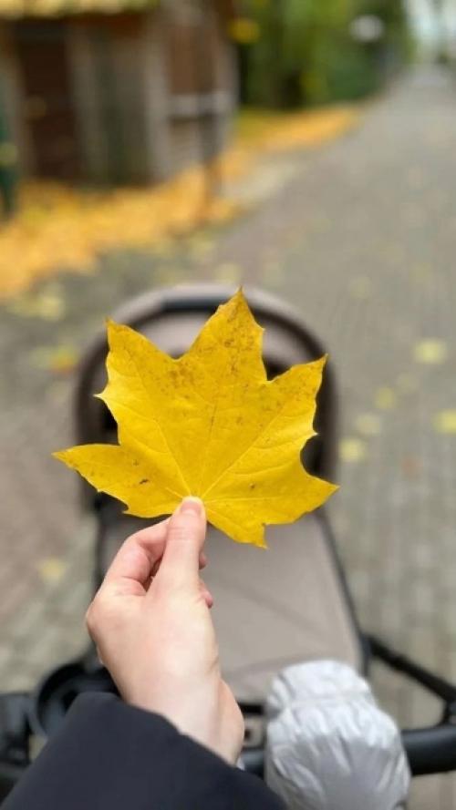 Антон Батырев отцом во второй раз стал. 01