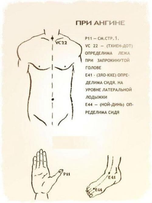 Источник_долголетия зож здоровье. 02 Источник_долголетия зож здоровье. 02