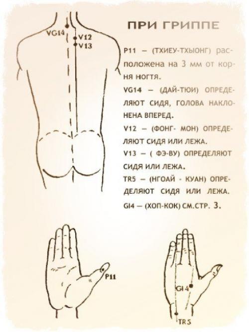 Источник_долголетия зож здоровье. 01 Источник_долголетия зож здоровье. 01