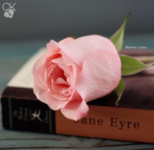 Мировая классика литературы научит мыслить шире: Мировая классика литературы научит мыслить шире: