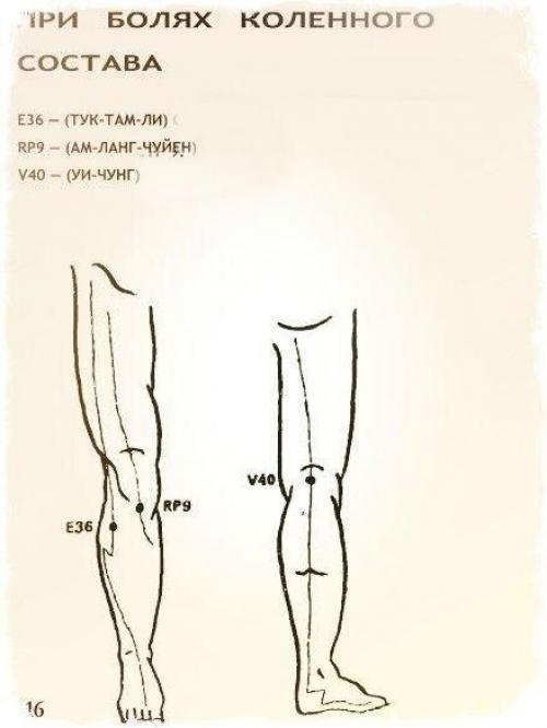 Источник_долголетия зож здоровье. 03 Источник_долголетия зож здоровье. 03