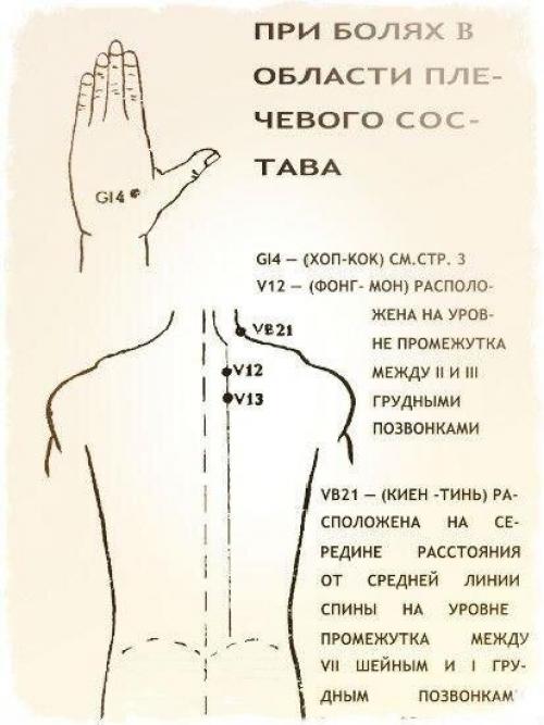 Источник_долголетия зож здоровье. 07 Источник_долголетия зож здоровье. 07