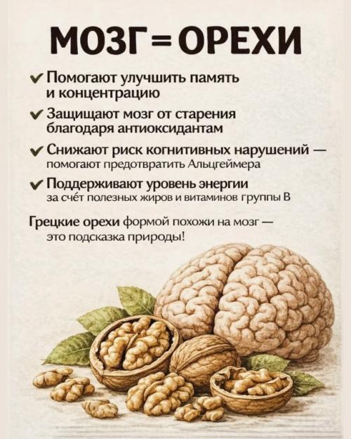 Ты когда-нибудь задумывалась, почему некоторые продукты так странно похожи на наши органы? 06