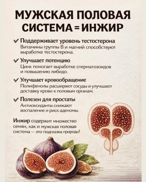 Ты когда-нибудь задумывалась, почему некоторые продукты так странно похожи на наши органы? 03