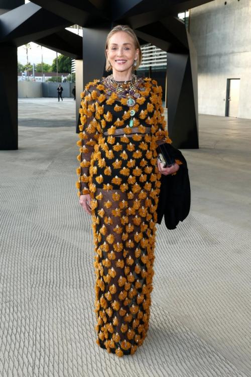 В музее искусств Лос-анджелеса (Lacma) состоялось торжественное открытие галереи Дэвида геффена. 04