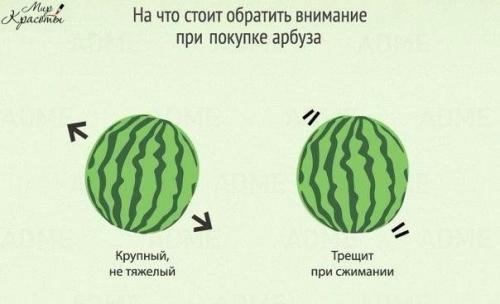 Лето уже совсем скоро - пора вспоминать как выбрать хороший арбуз! 

