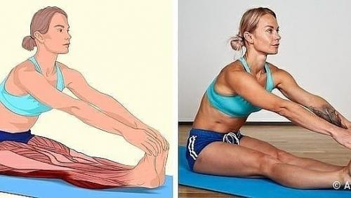 Малоподвижный образ жизни - главный враг не только мышечного корсета, но и всего опорно - двигательного аппарата в целом. 02