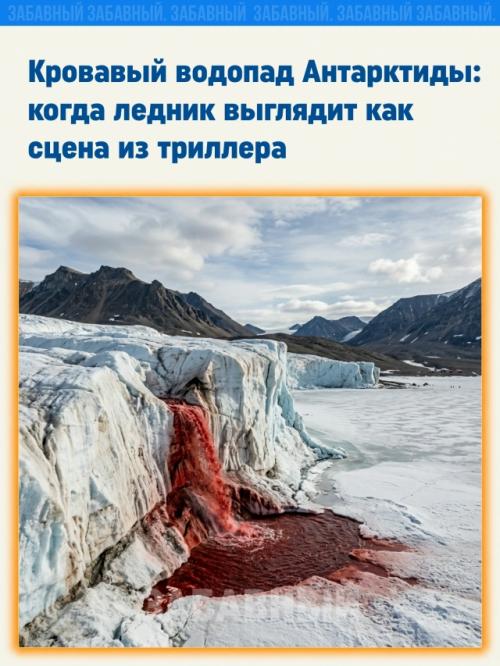 В Антарктиде есть место, которое выглядит так, будто природа внезапно решила поиграть в жанр 
