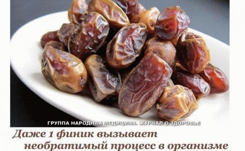 Финики - удивительный плод, которому во многих странах приписывают свойства укреплять здоровье и продлевать жизнь.