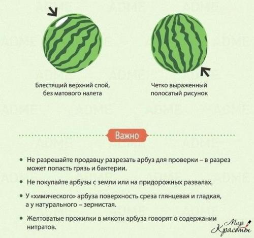 Лето уже совсем скоро - пора вспоминать как выбрать хороший арбуз! 02