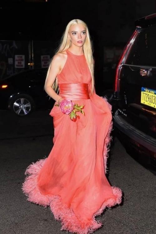 Шикарный образ Ани Тейлор - Джой. 03