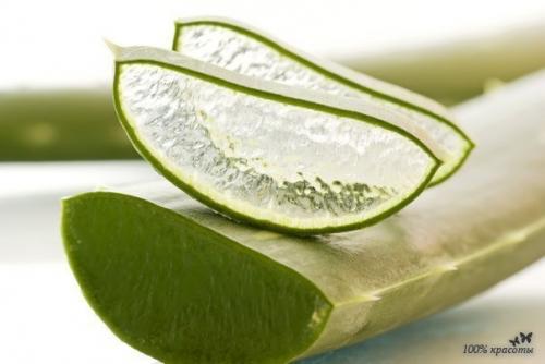 Алоэ для похудения, сохранения стройности и повышения общего тонуса организма. Алоэ для похудения, сохранения стройности и повышения общего тонуса организма.