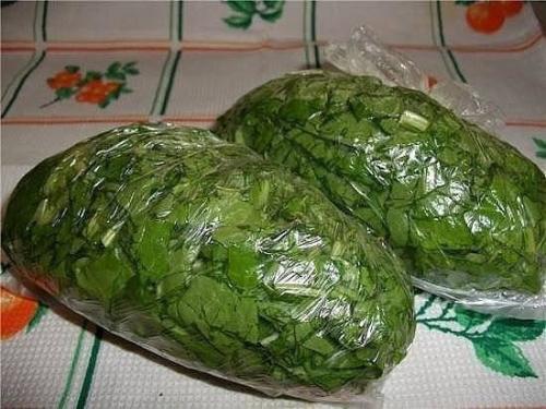 Мы сохраняем овощи и фрукты методом заморозки. 08 Мы сохраняем овощи и фрукты методом заморозки. 08