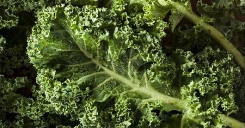 15 продуктов с минимальным количеством калорий. 15 продуктов с минимальным количеством калорий.