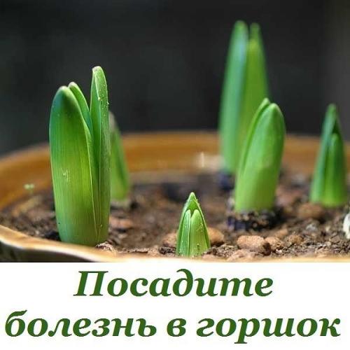 Исцелить человека можно очень простым способом, который доступен практически каждому.