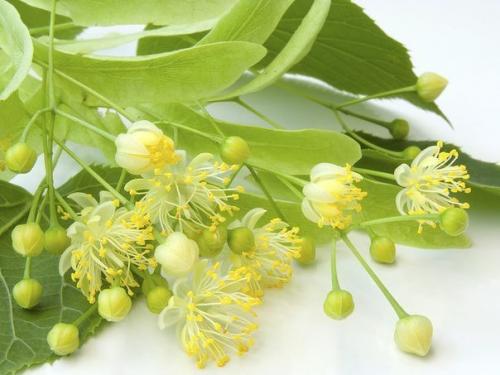 Точки на теле человека для здоровья. Волшебные точки на теле человека.