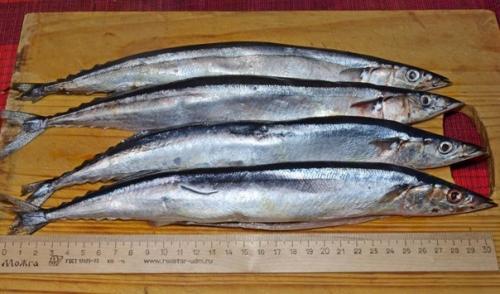 Консервированная рыба в домашних условиях. 01 Консервированная рыба в домашних условиях. 01