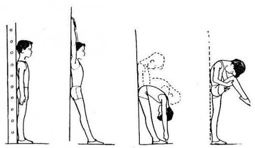 Красивая осанка - основа основ.

