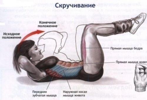 Скручивания на пресс и их виды!