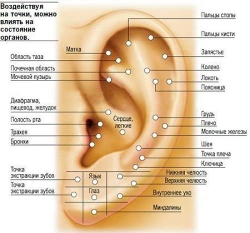 Как укрепить иммунитет.