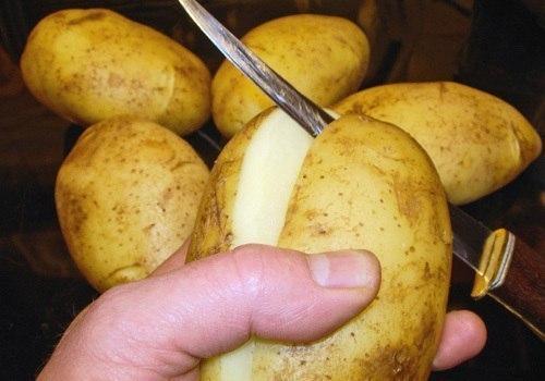 Иногда жульен можно вместе с кокотницей съесть. 01 Иногда жульен можно вместе с кокотницей съесть. 01