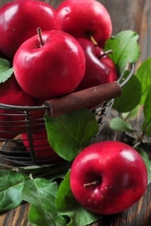 Август - значит Священный. 02