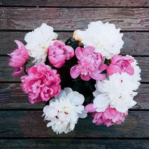 Топ - 10 отличных книг, объемом менее 300 страниц.