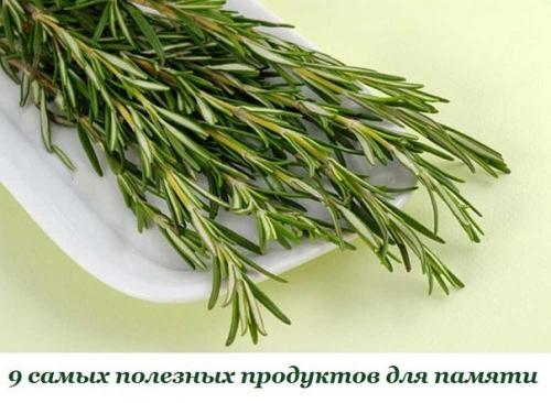 Запомнить все! 9. Запомнить все! 9.