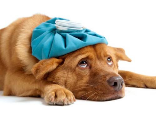 Болезнь уходит тогда, когда в ней пропадает необходимость. Болезнь уходит тогда, когда в ней пропадает необходимость.