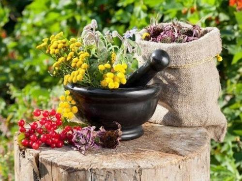 Какие травы в АВГУСТЕ собирать. Какие травы в АВГУСТЕ собирать.