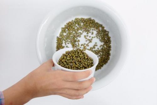 Как проращивать семена и зерна. 02 Как проращивать семена и зерна. 02