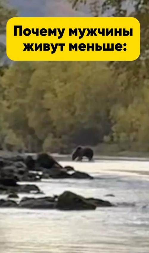 Когда инстинкт самосохранения вышел из чата: встреча с медведем на рыбалке. 01