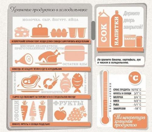 Как правильно хранить продукты. Как правильно хранить продукты.