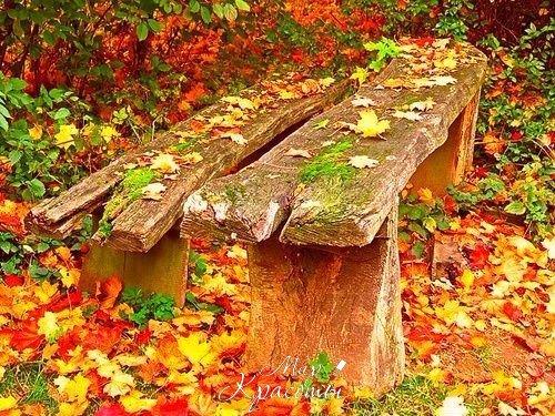 Хорошо, что есть осень, она нежно и аккуратно готовит нас к холодам. 04