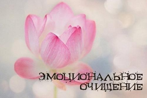 Эмоциональное очищение.  Все болезни закладываются в первую очередь не в физическом теле. Эмоциональное очищение.  Все болезни закладываются в первую очередь не в физическом теле.