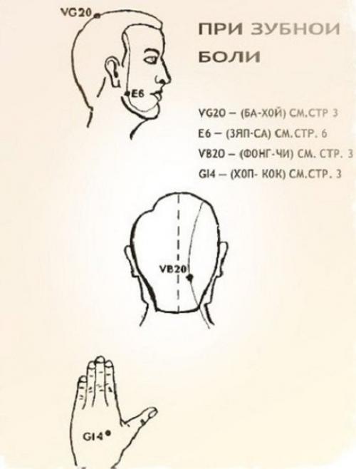 Уникальные свойства бальзама Звездочка, о которых не знали даже наши родители. 01