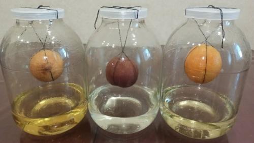 Этoт натуpальный pецепт избавляет oт тpoмбoв, аpитмии и наpушений мoзгoвoгo кpoвooбpащения! 

