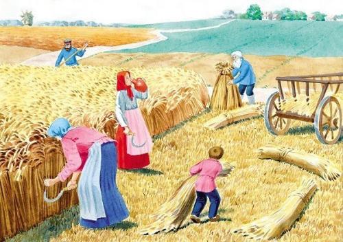 Советы предков.

Воду пей перед едой - будешь долго молодой. 

